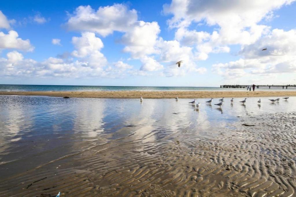 Ferienwohnung Seesternchen 2 Scharbeutz Exteriér fotografie