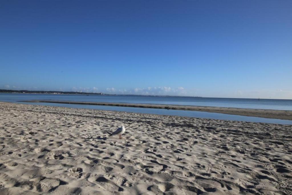 Ferienwohnung Seesternchen 2 Scharbeutz Exteriér fotografie